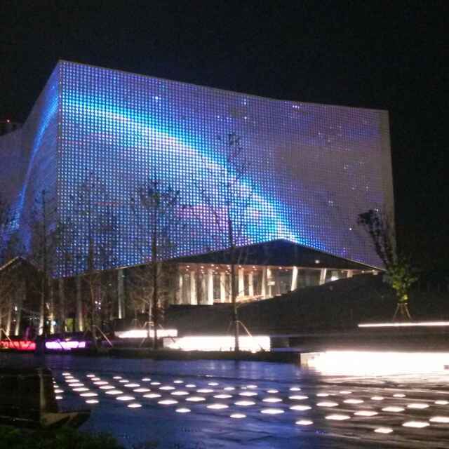 琴琴脑袋长在头上