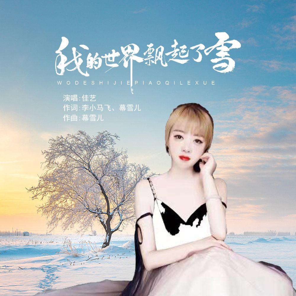 我的世界飘起了雪 - 佳艺封面