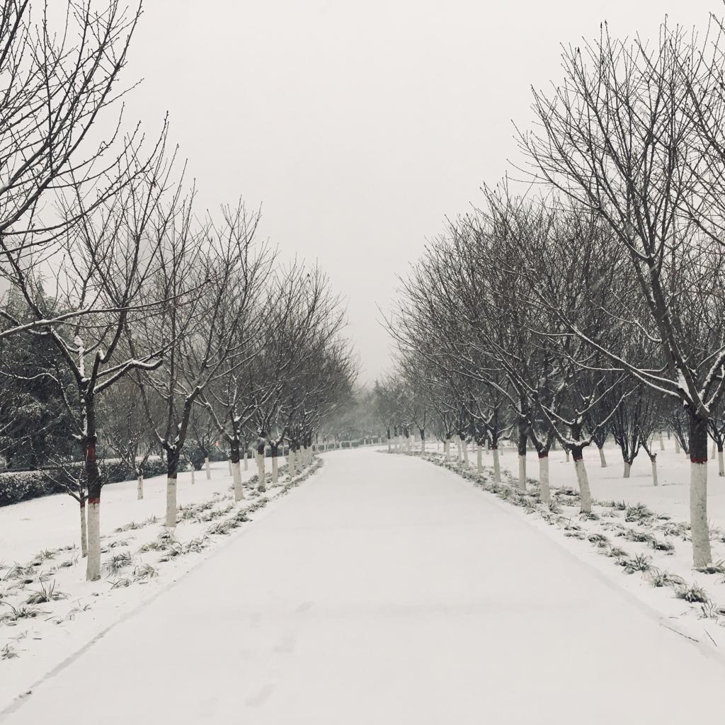 版本系列▷なごり雪（残雪）