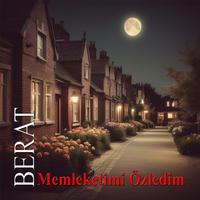 Memleketimi Özledim