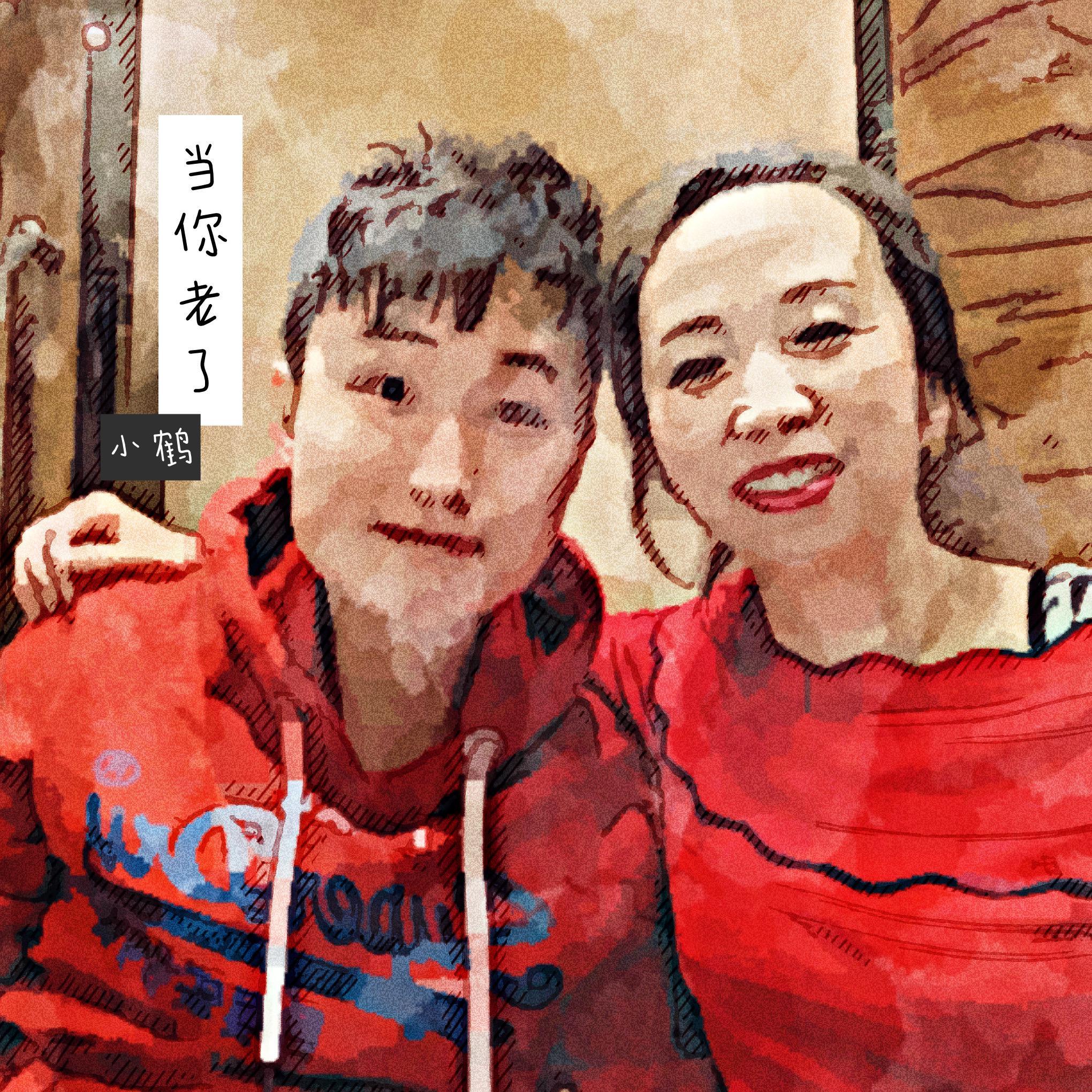 老男孩（燃情独唱版）_小鹤_当你老了 | 在线播放_老男孩（燃情独唱版）歌词_老男孩（燃情独唱版）下载 | 网易云音乐