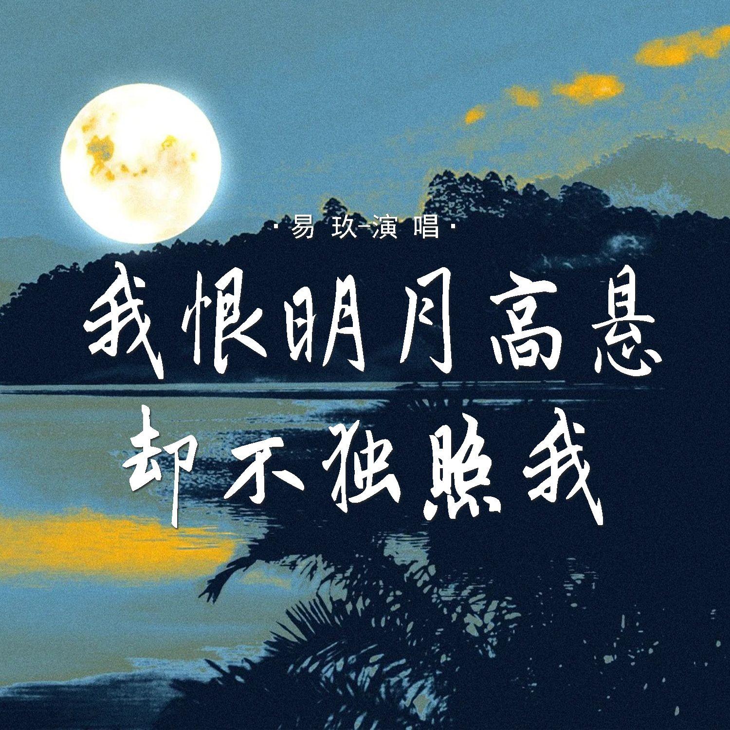 我恨明月高悬 却不独照我封面