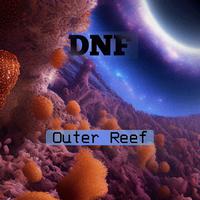 Outer Reef