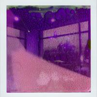 lavender (feat. Eli Fischer)
