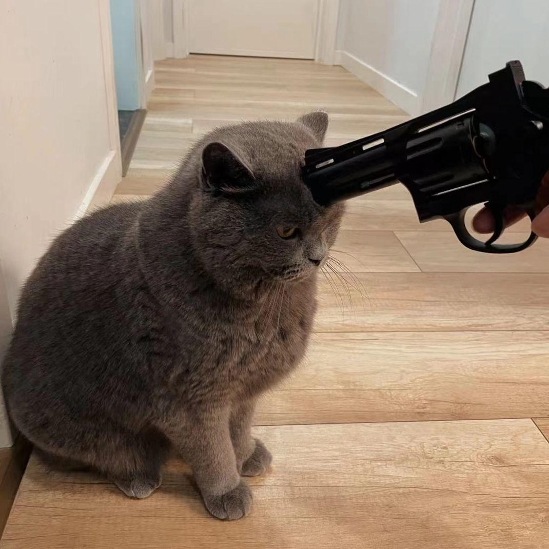 红山果（DJ版）