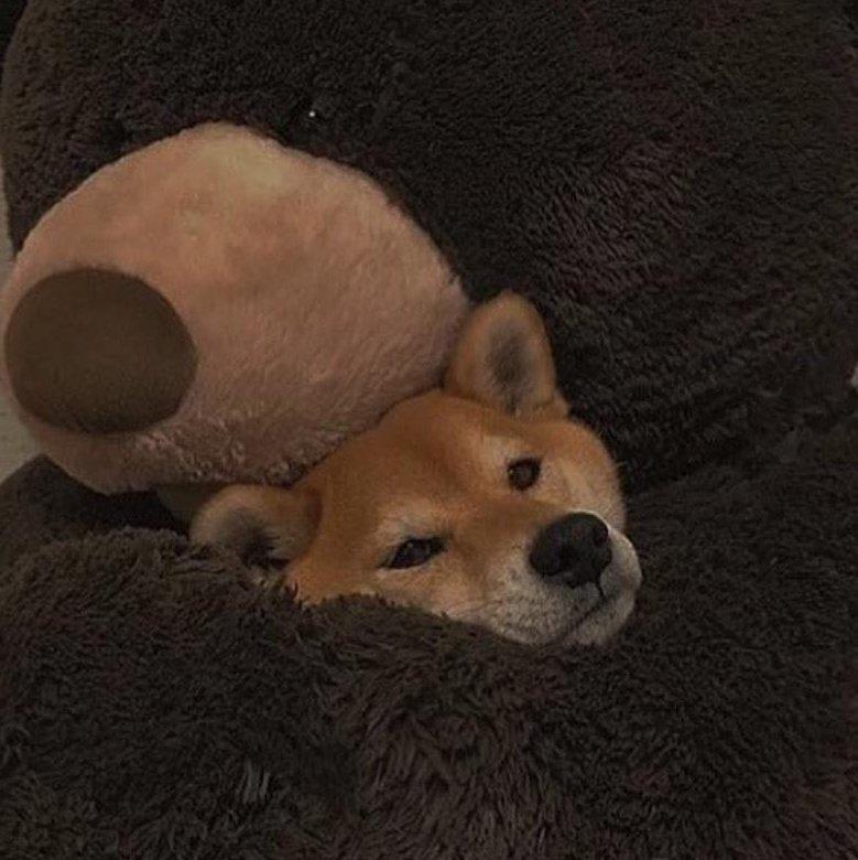 Well...『也許更適清晨未至晌午時』