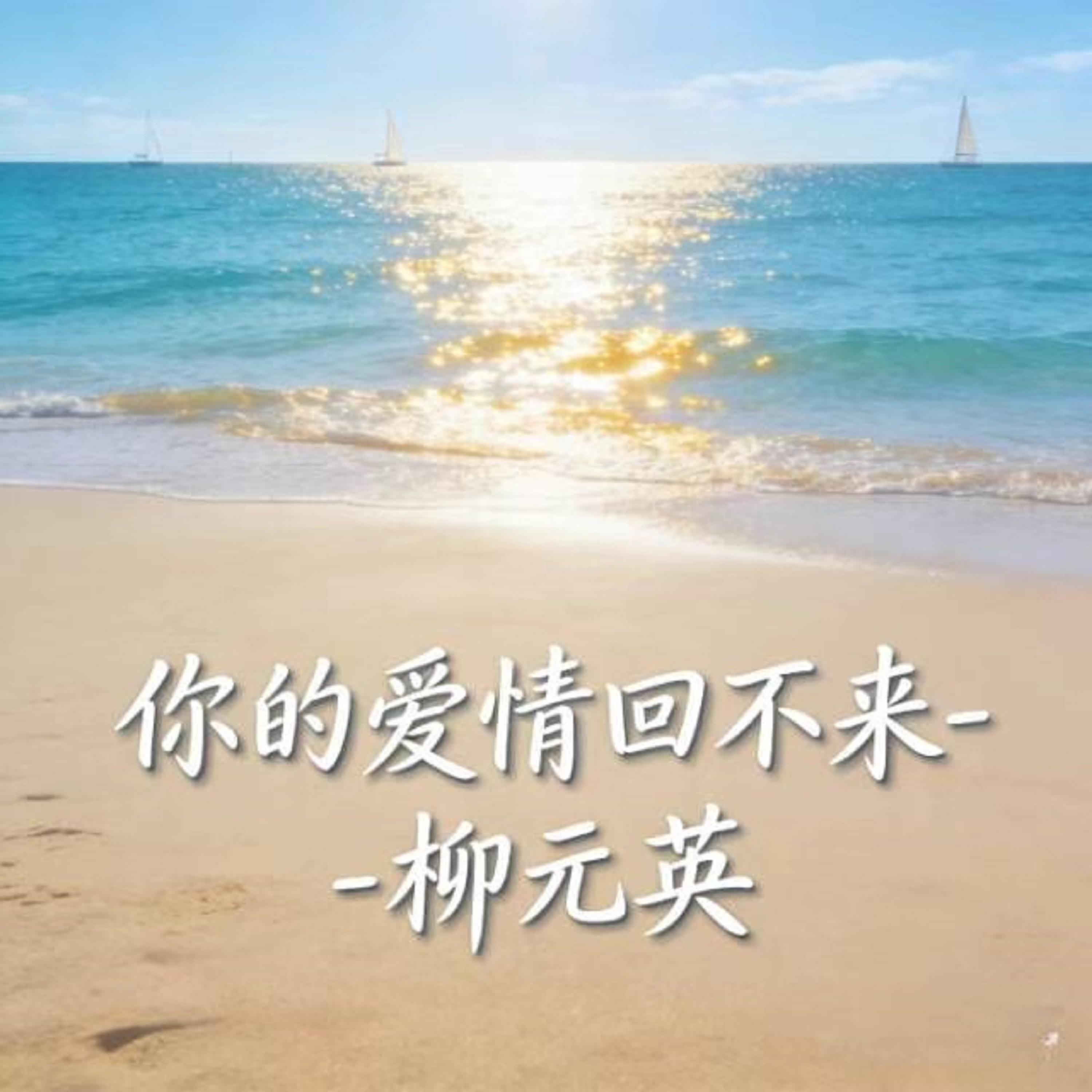 你的爱情回不来 (烟嗓版) - 柳元英封面