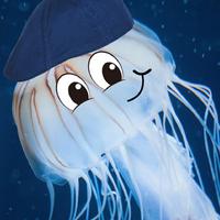 Jelly The Fish资料,Jelly The Fish最新歌曲,Jelly The FishMV视频,Jelly The Fish音乐专辑,Jelly The Fish好听的歌