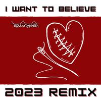 I Want to Belive (2023 Remix)