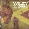 Wiley - If I Could