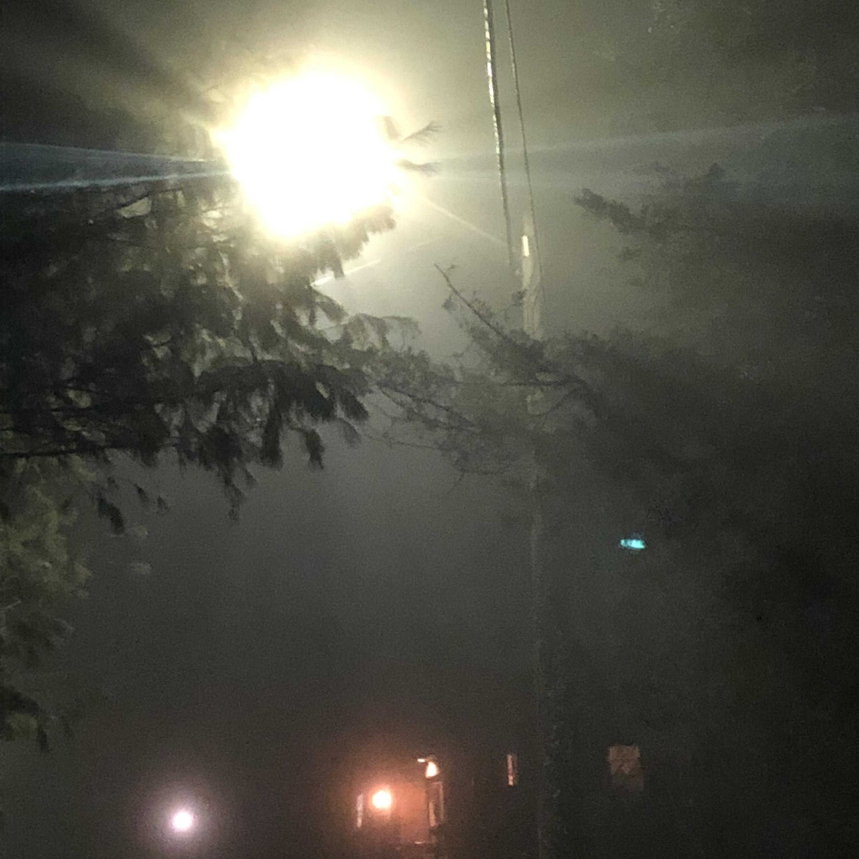 crash (feat. sholoh)