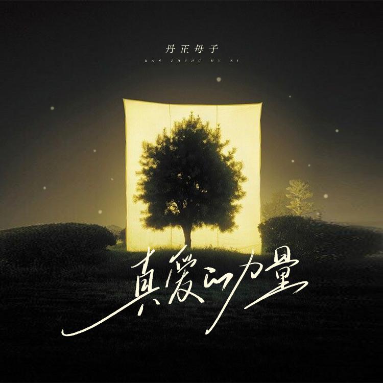 真爱的力量 (丹正母子版)封面