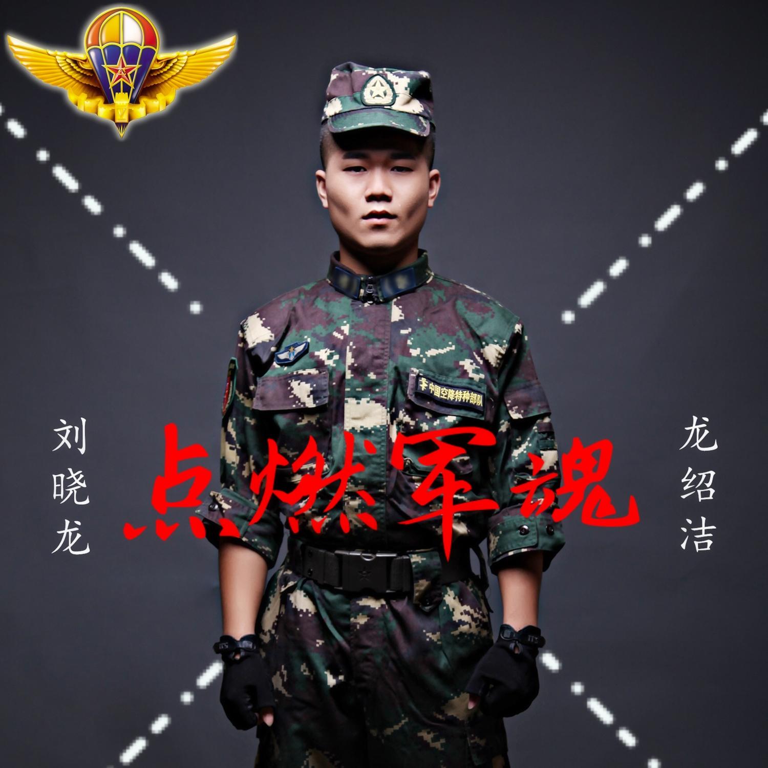 点燃军魂封面