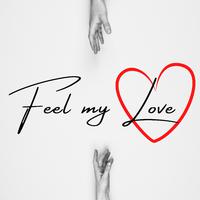 Feel My Love