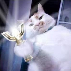 麻婆豆腐里没麻婆