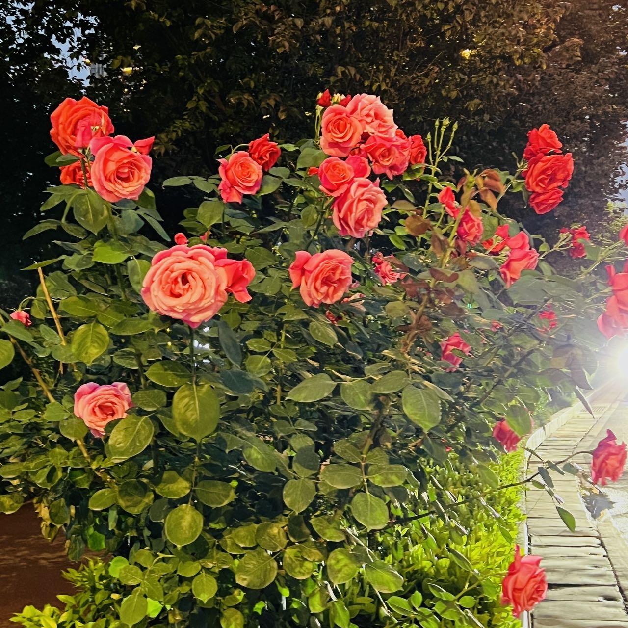 Sun!God!(prod.by Morrow)