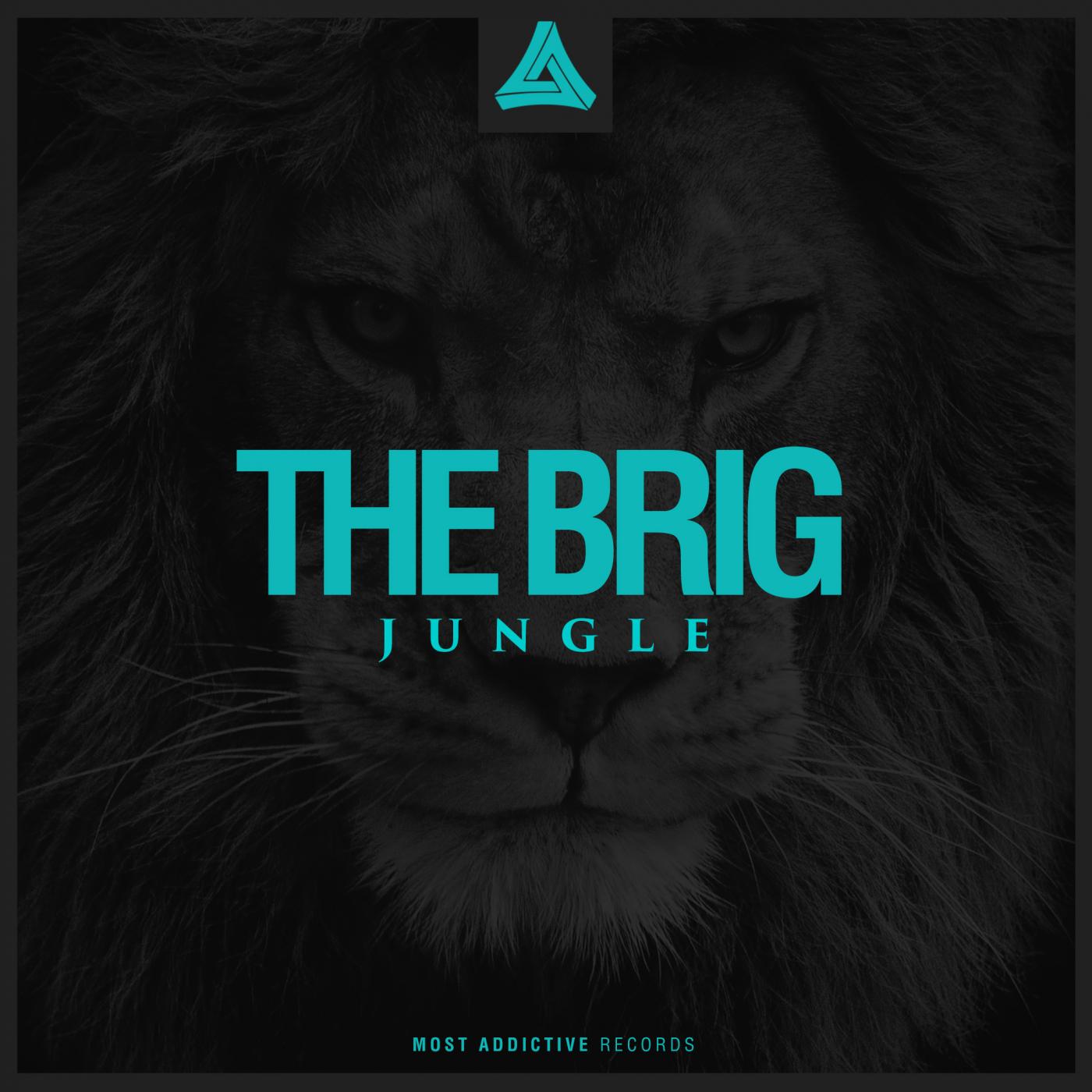 Jungle (Original Mix)