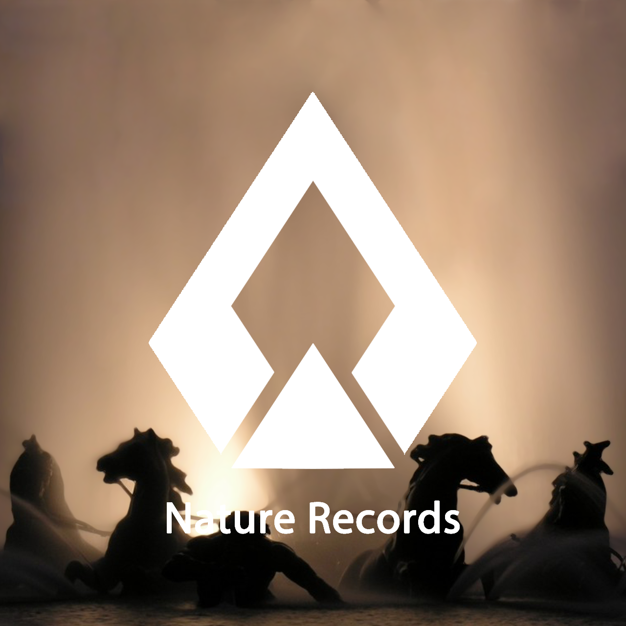 DiESi（Nature Records - 自然记录）