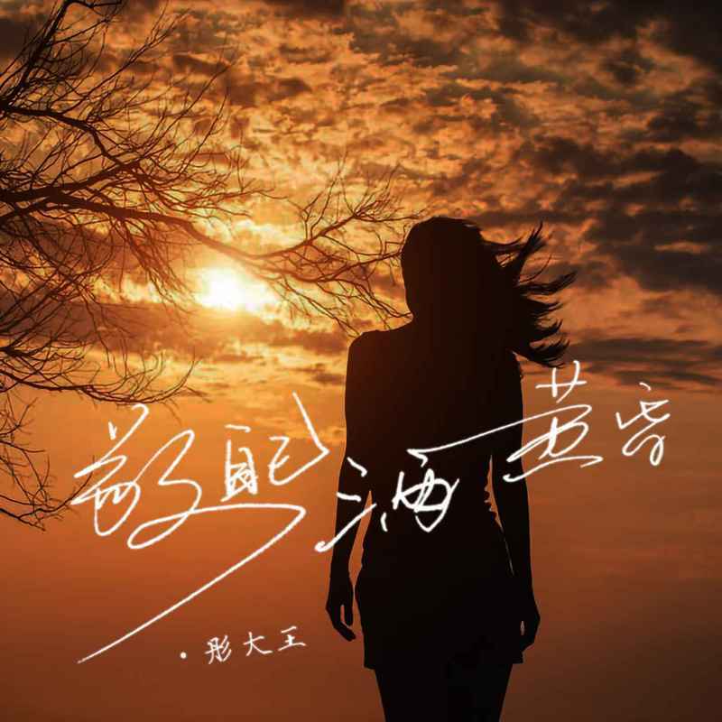 敬自己三两黄昏 (DJ默涵版伴奏)封面