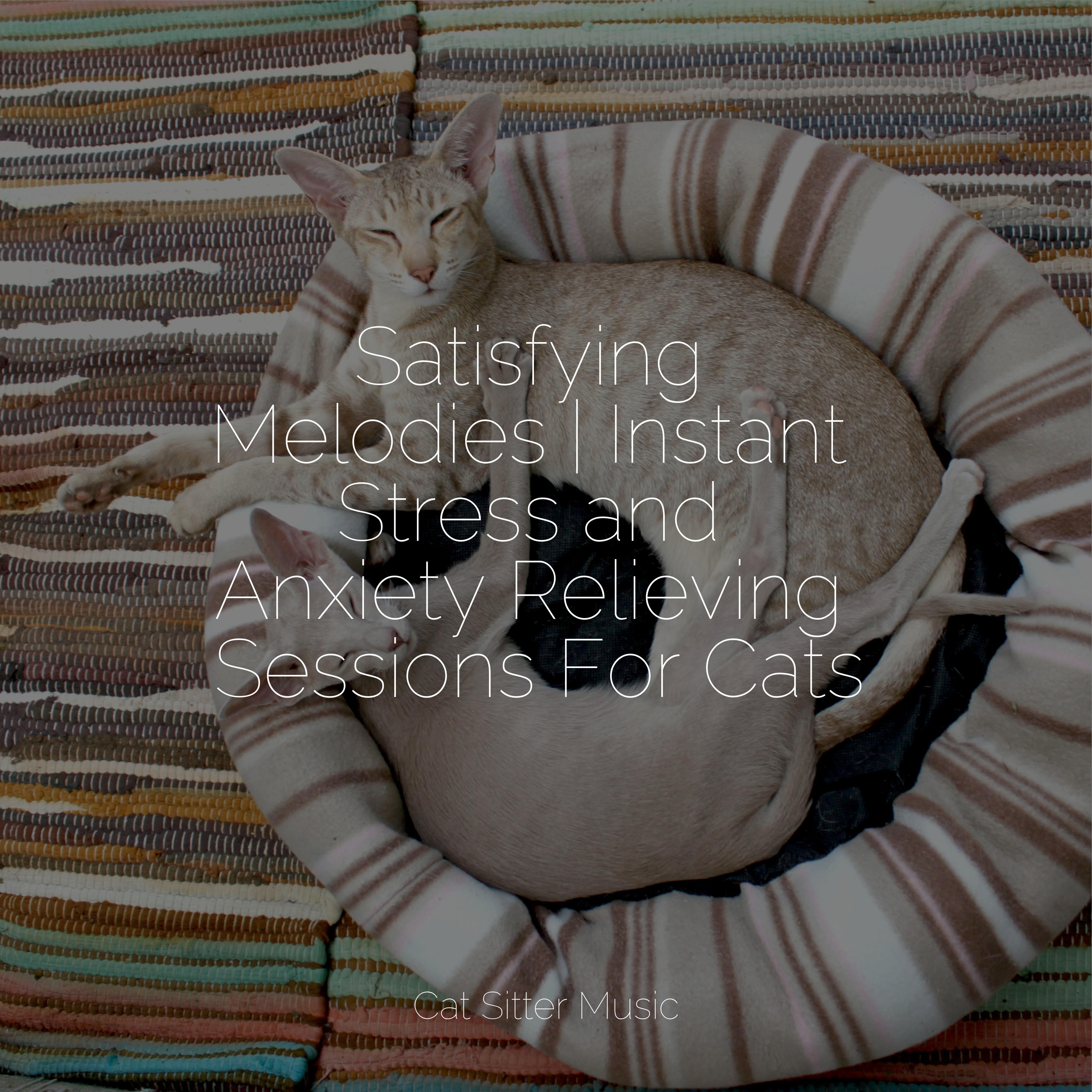 Photo inspiration: Gallery Detail: Satisfying Melodies Instant Stress And Anxiety Relieving Sessions For