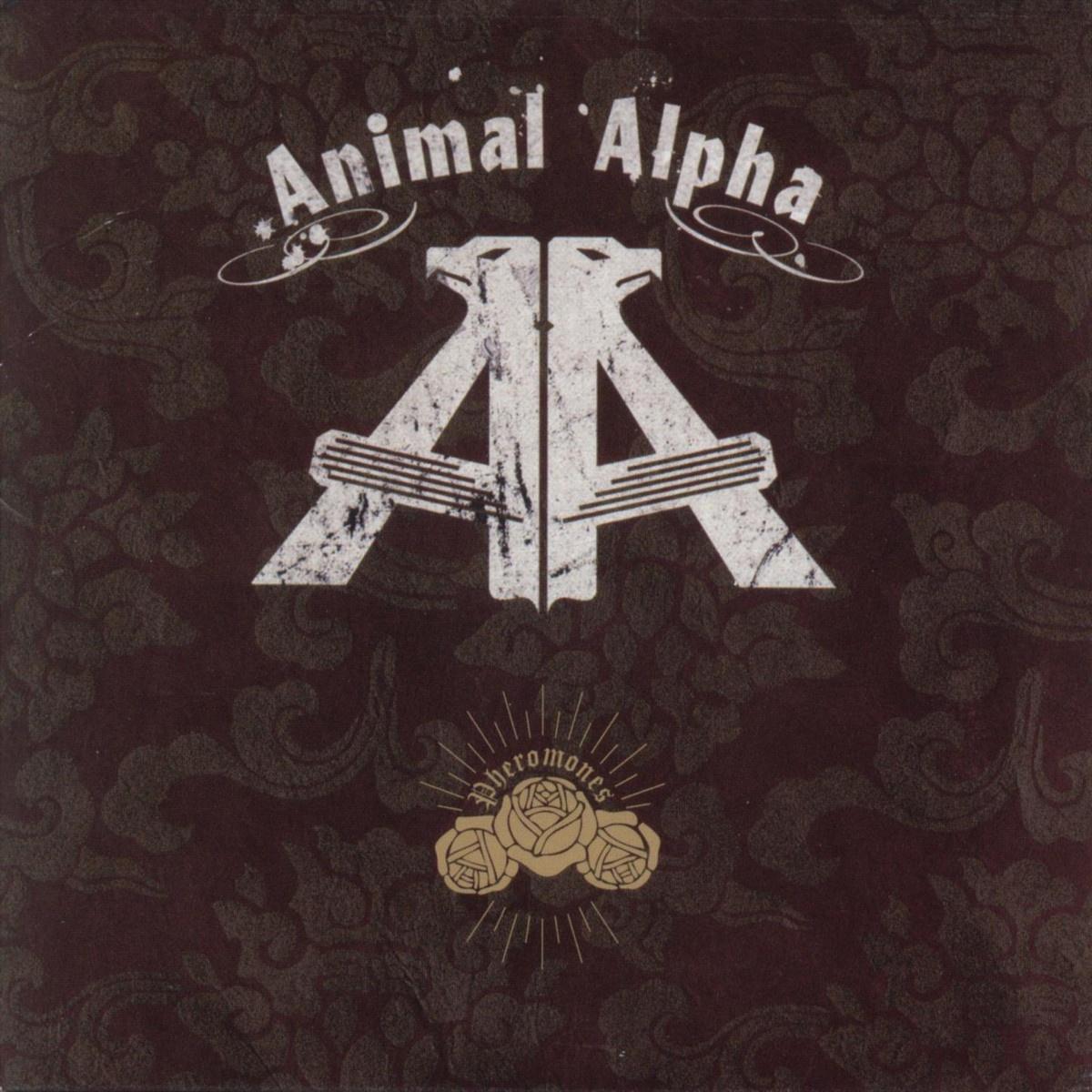 Bundy_Animal Alpha_Pheromones | 在线播放_Bundy歌词_Bundy下载 | 网易云音乐