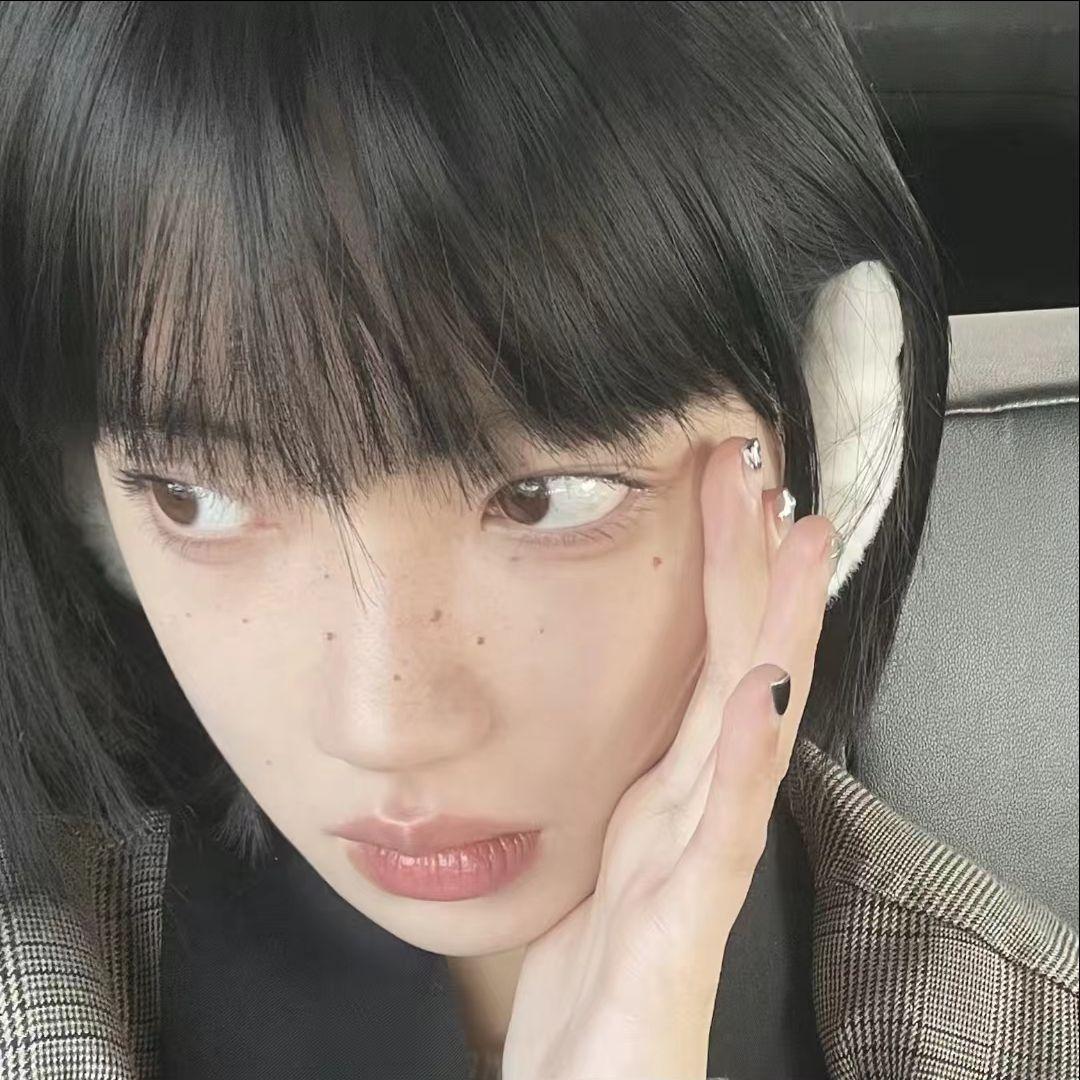 输情歌封面