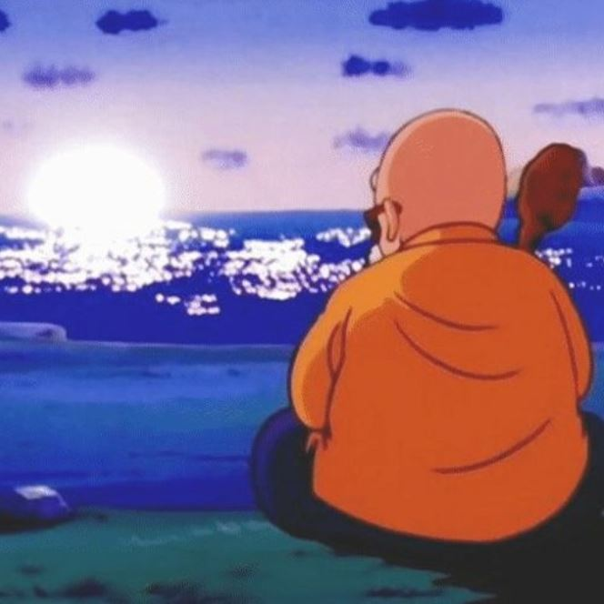 Dragon ball master roshi