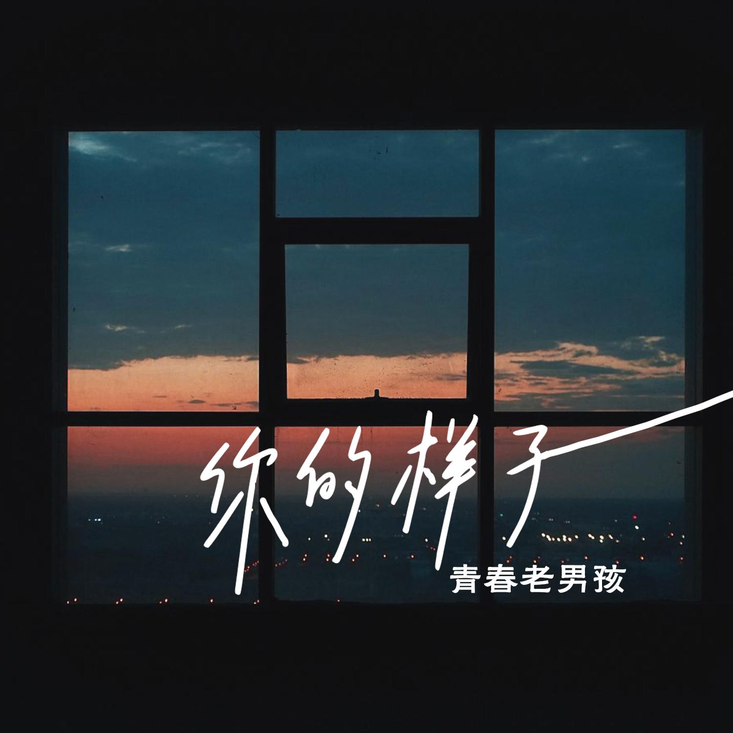 你的样子 (DJ版伴奏)封面