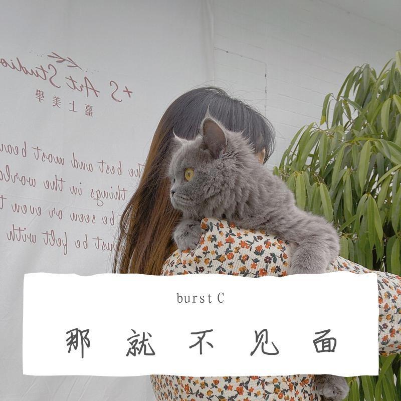 burst C-不如不见面remix-梁老师T.Song（burst C remix）