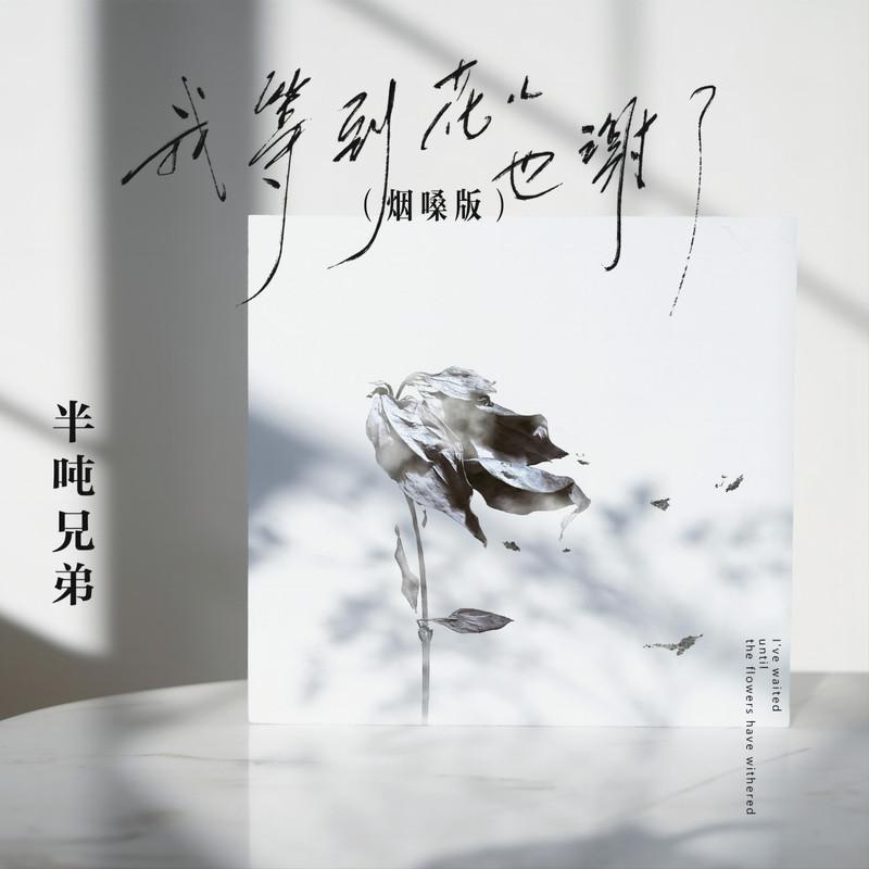 我等到花儿也谢了 (烟嗓版)封面