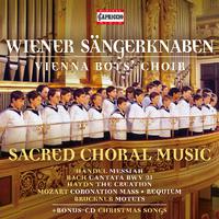 Choral Music (Sacred) - HANDEL, G.F. / BACH, J.S. / HAYDN, J. / MOZART, W.A. / BRUCKNER, A. (Vienna Boys Choir, Marschik) (7-CD Box Set)