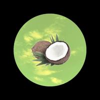 Coconuts EP