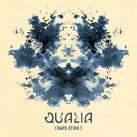 Qualia Compilation 2