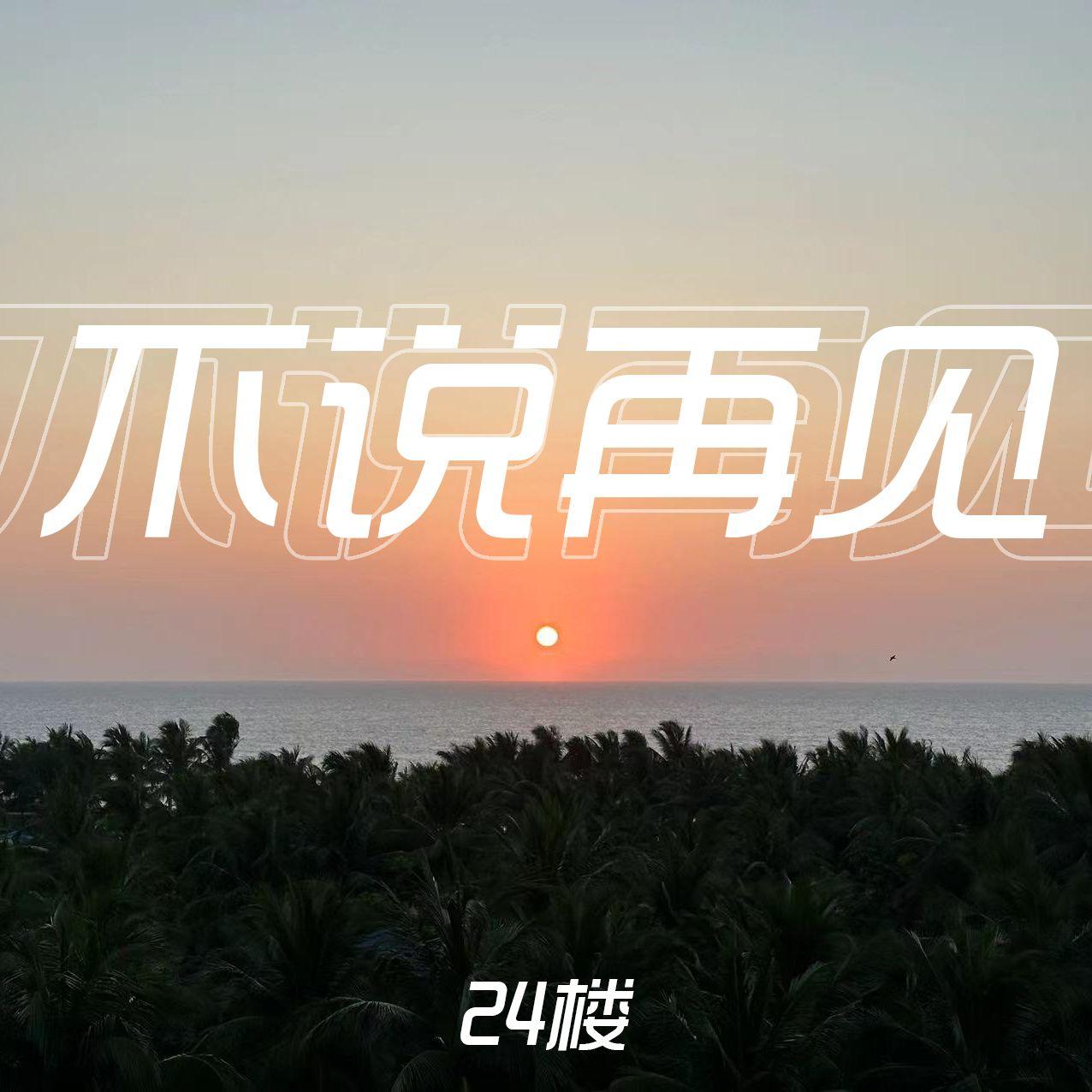 不说再见封面