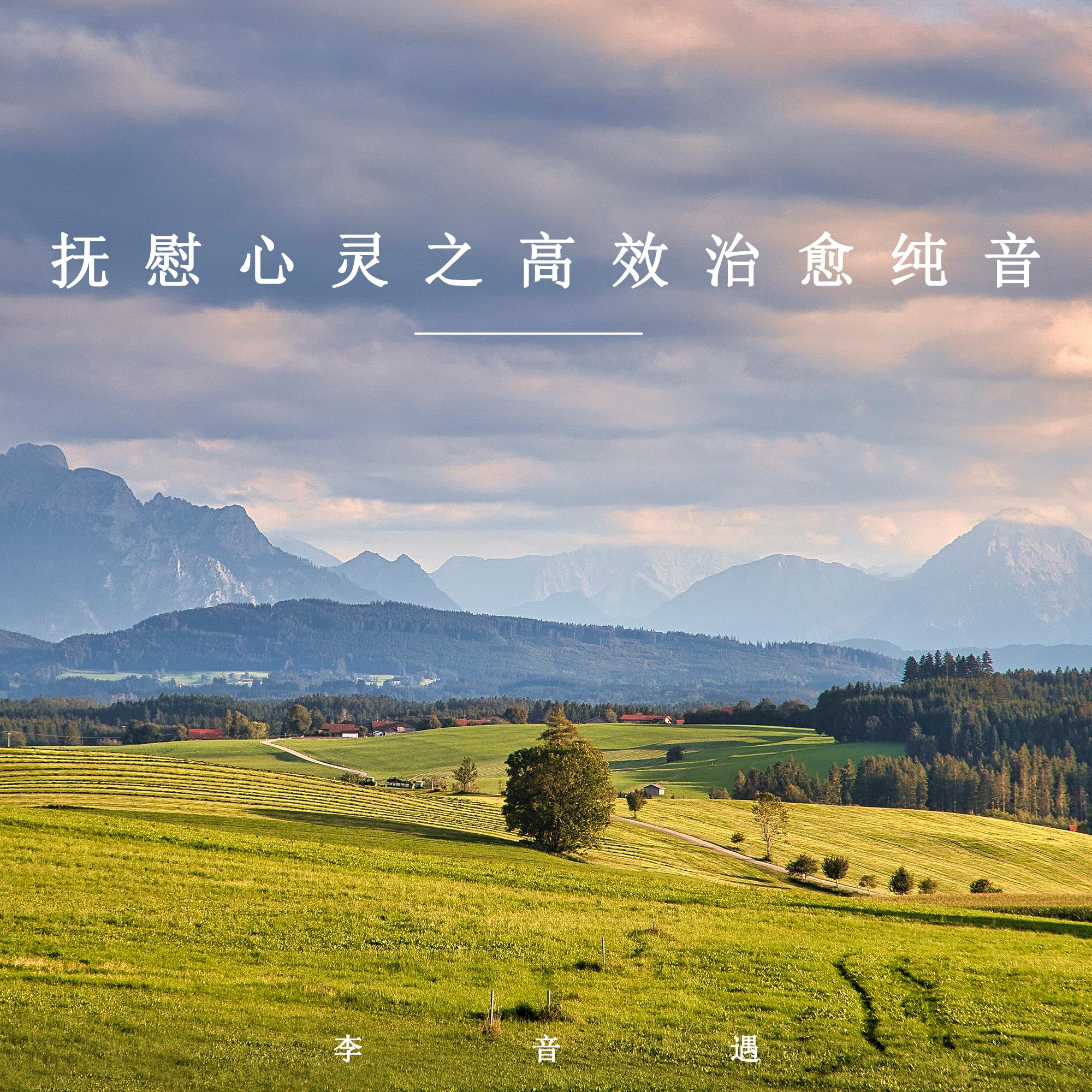 抚慰心灵封面