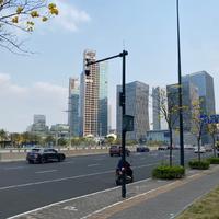 刘了个溜