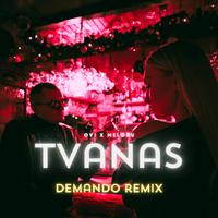 TVANAS (feat. meloru) [Demando Remix]