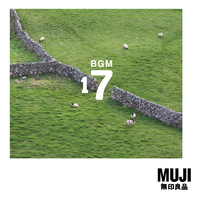 BGM17 Ireland