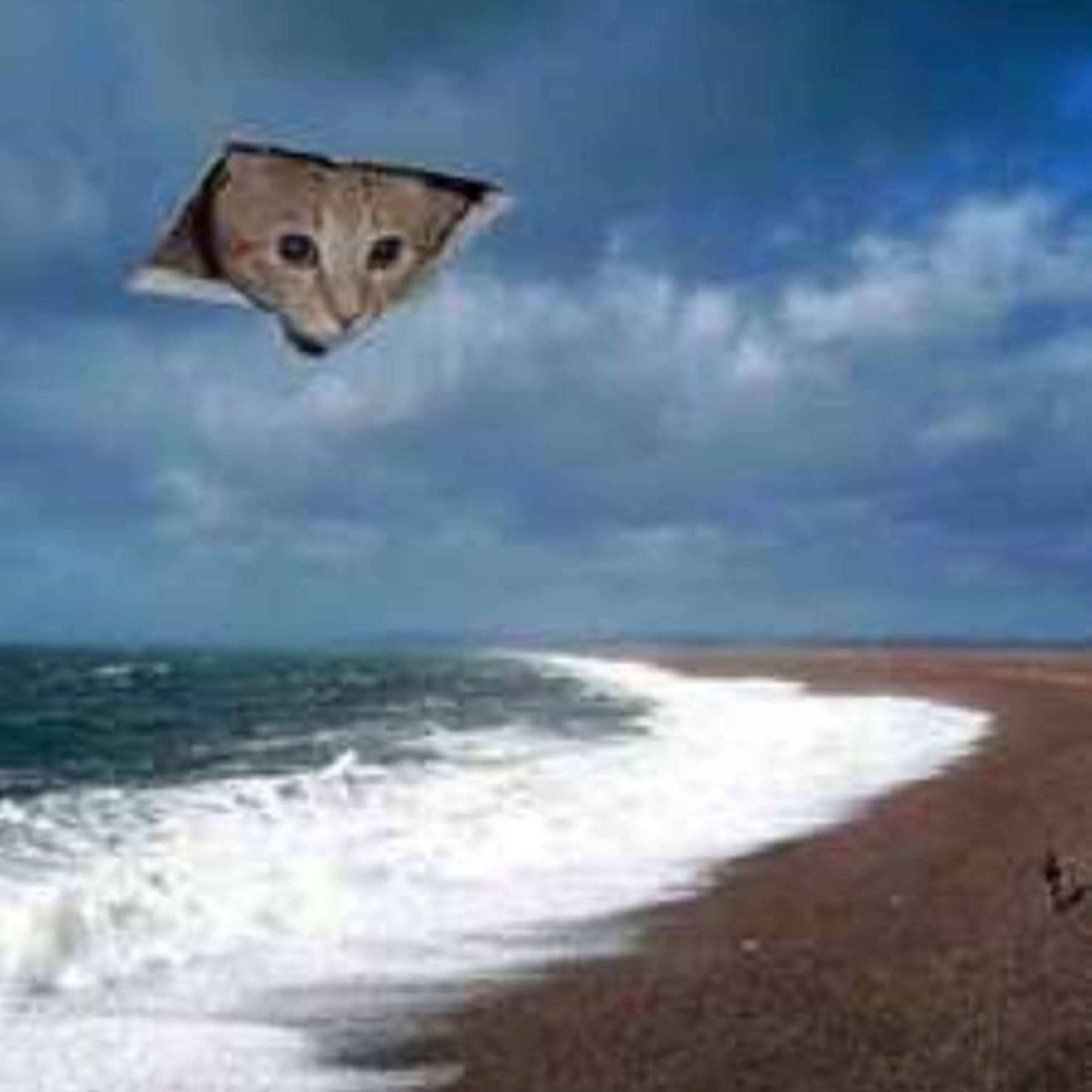 realmente o es de rato?