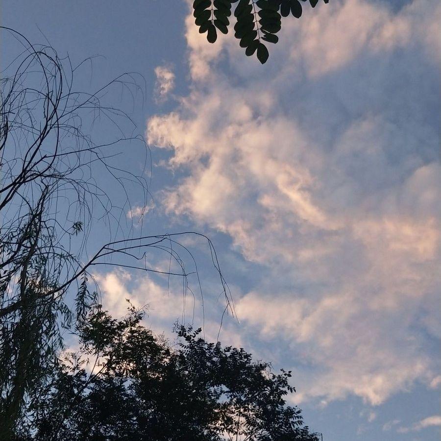 妙手空空 - 孟戈封面