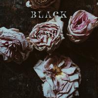 Black Roses