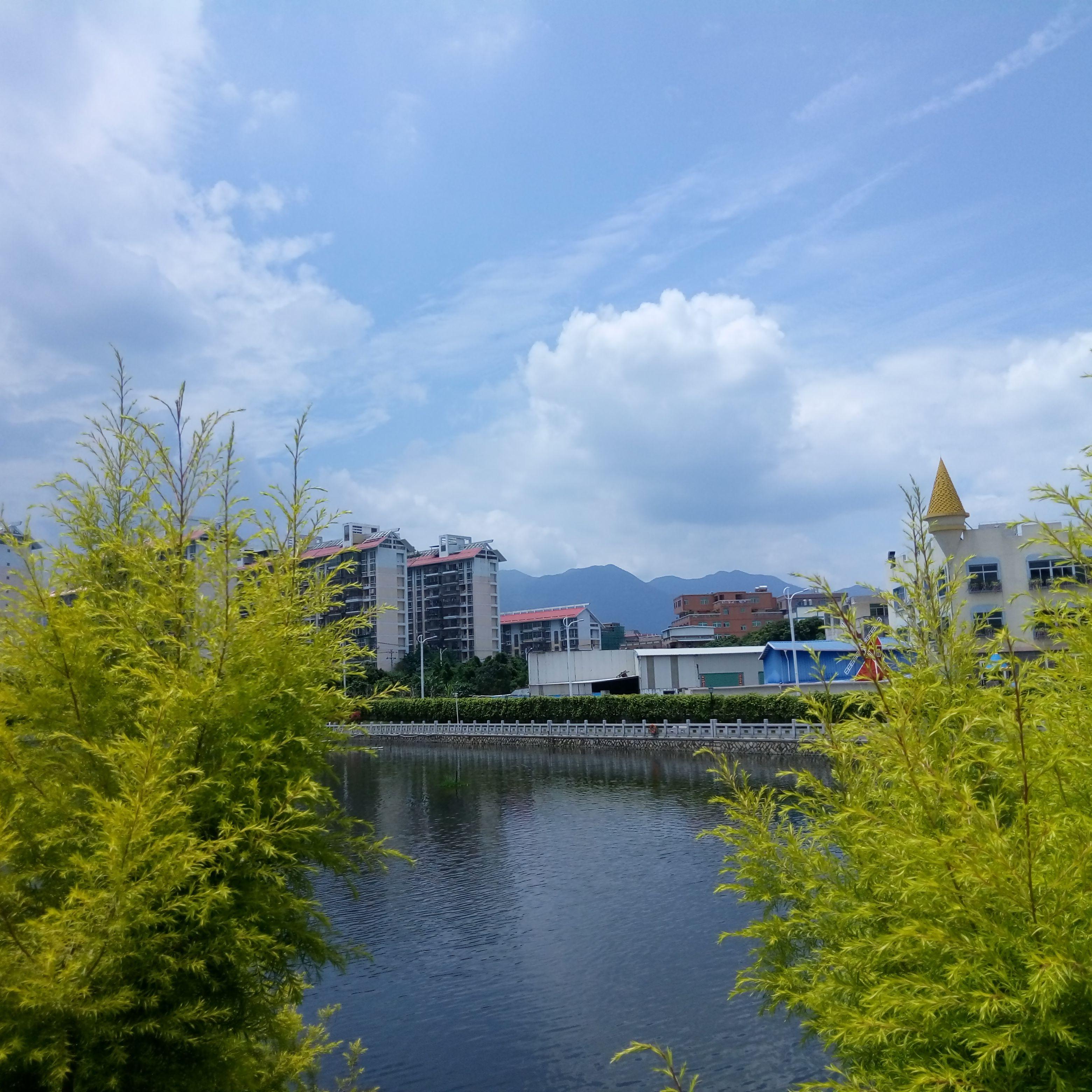 烬余香封面