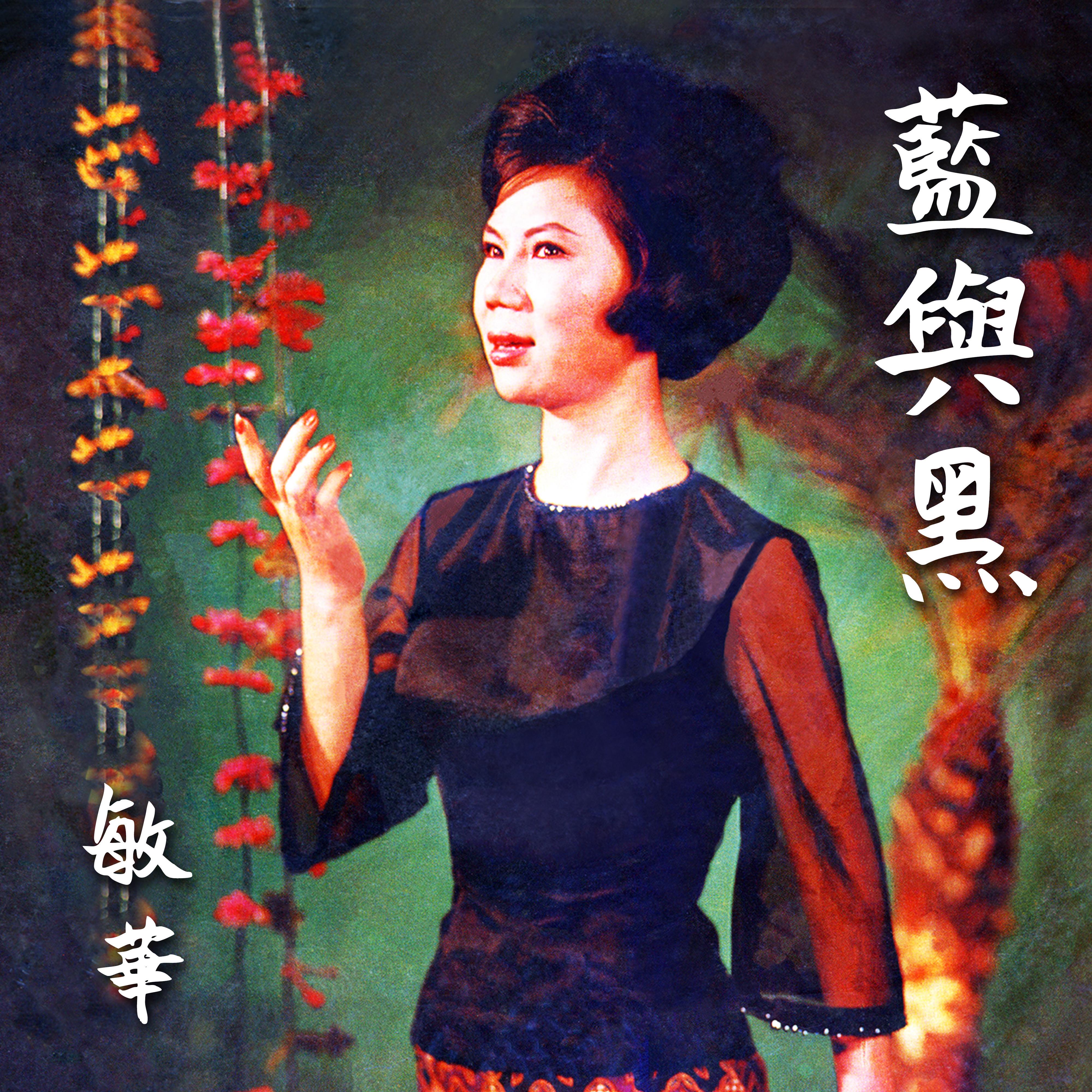 南风封面