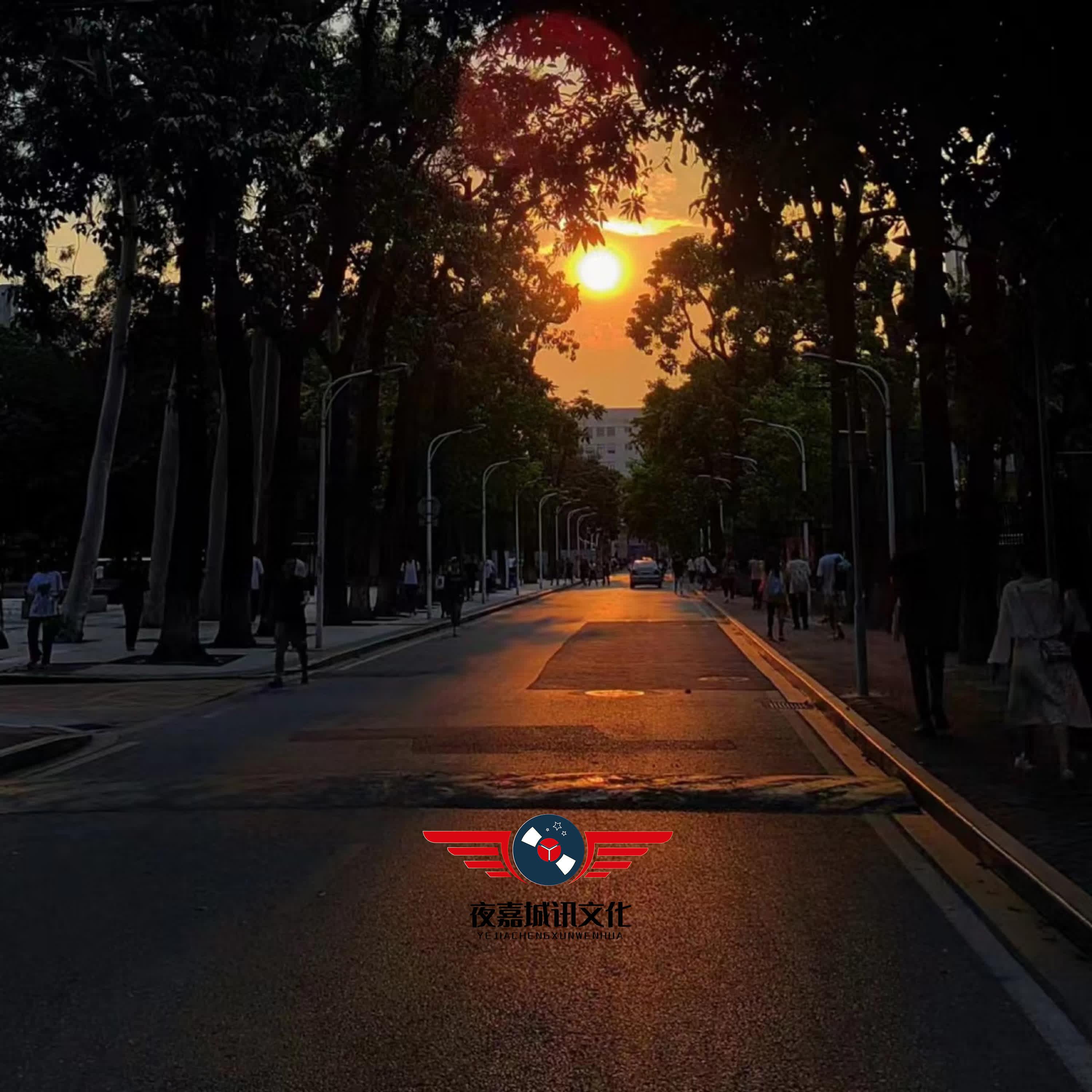 路太弯封面