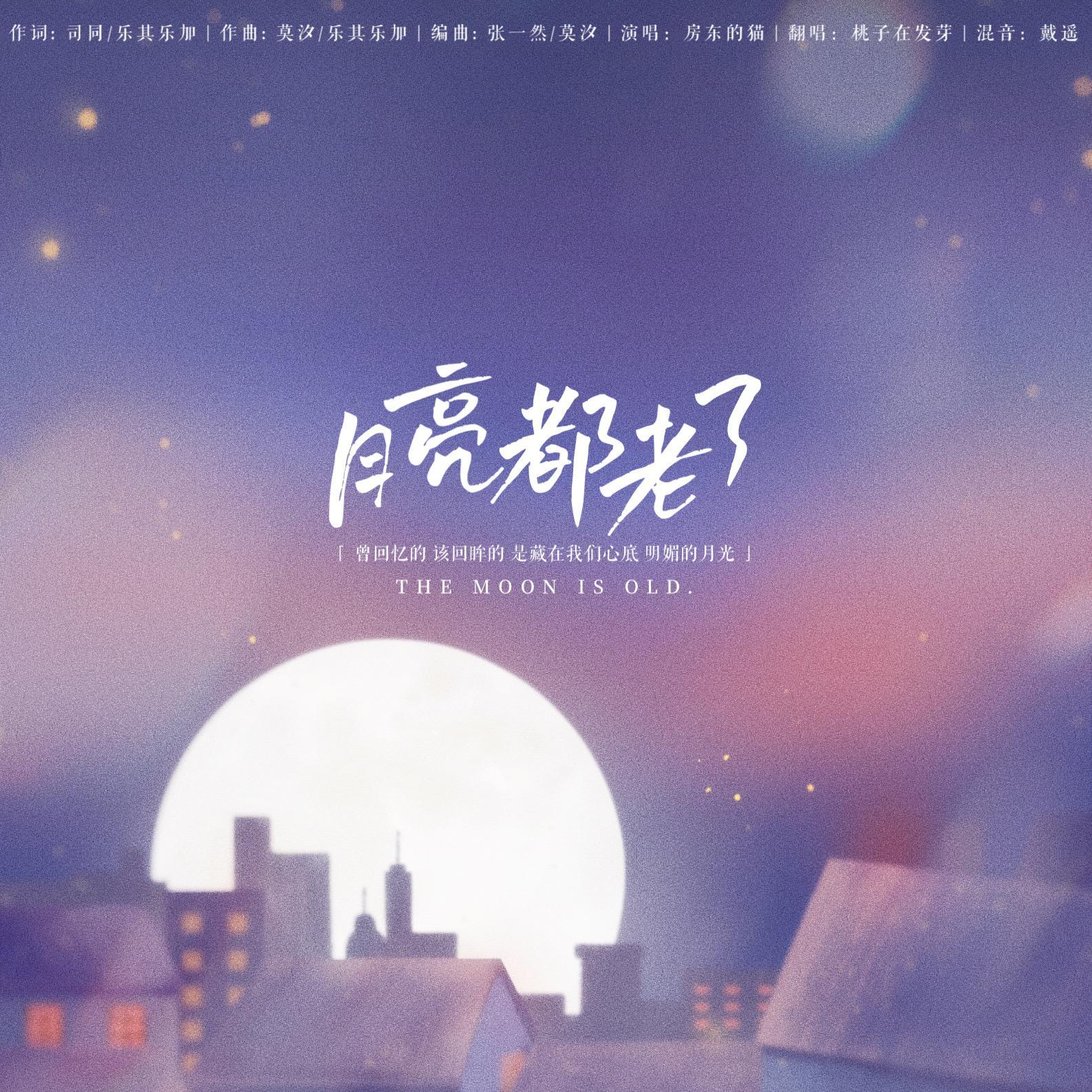 月亮都老了封面