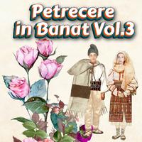 Petrecere in Banat, Vol. 3