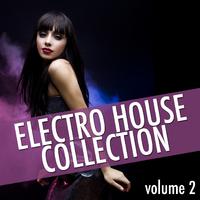 Electro House Collection, Vol. 2