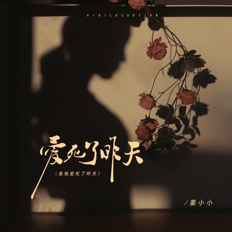 爱死了昨天 (DJ豪大大版伴奏)封面