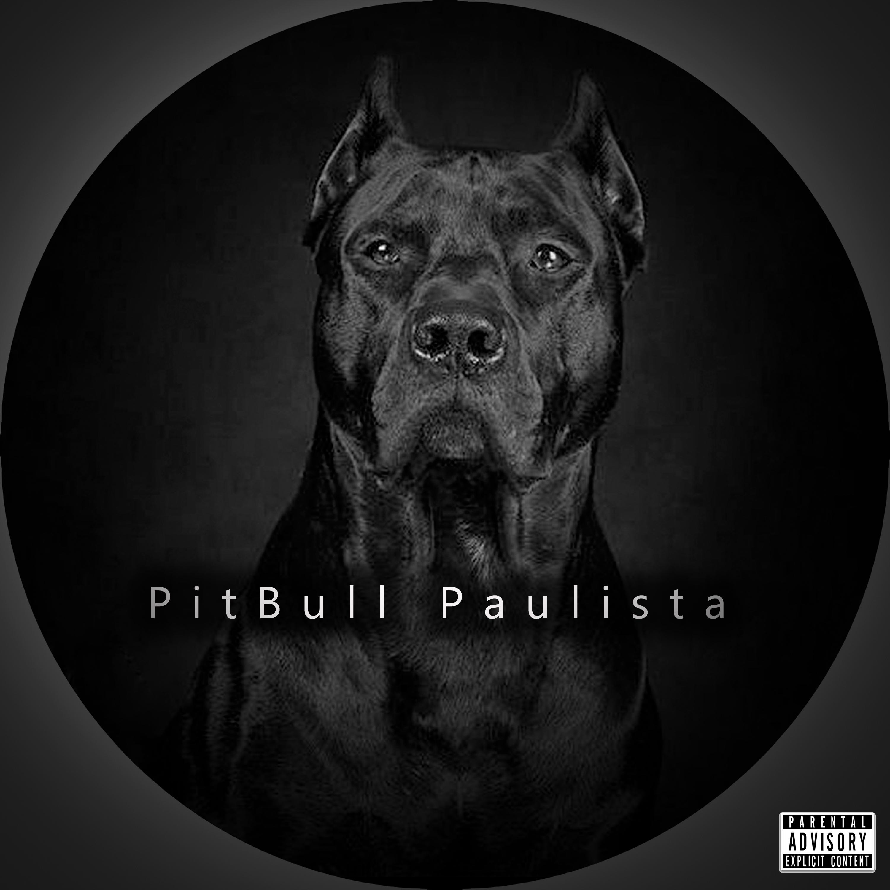 Pitbull Paulista