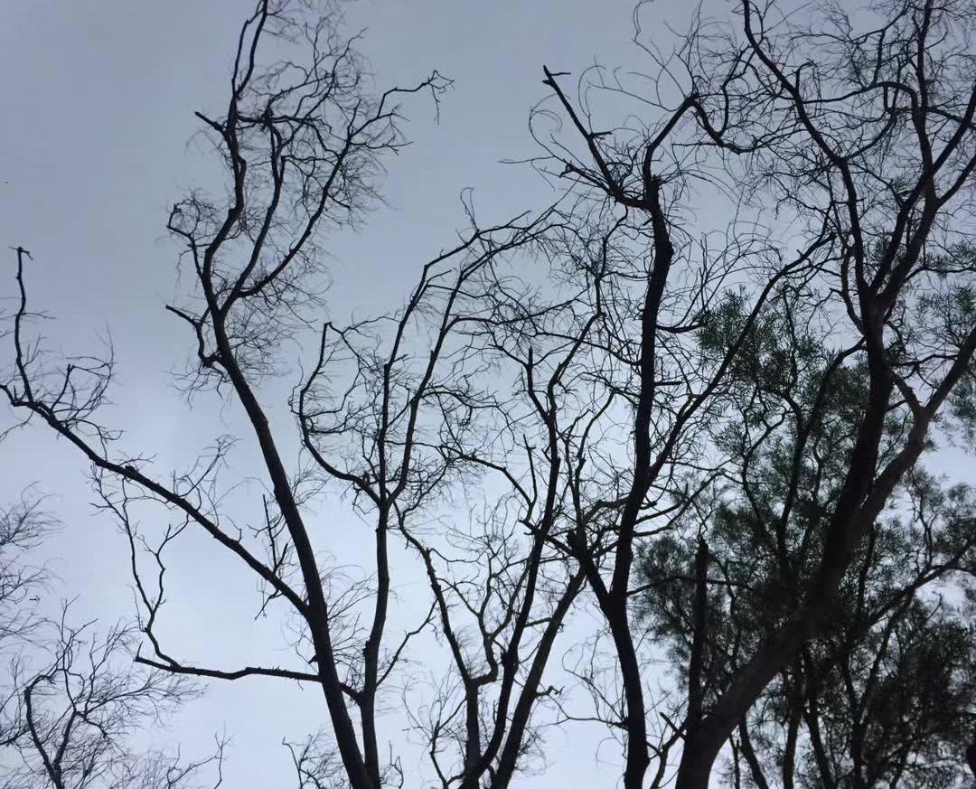 刘一飞